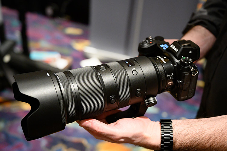DSC_1210.ACR.jpg
