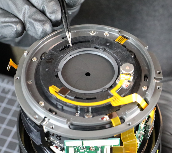 HZ3A9977sml.jpg
