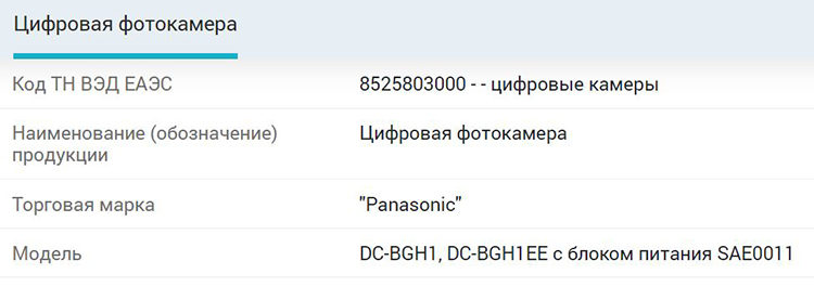 Panasonic-DC-BGH1-camera.jpg