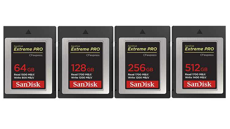 Type-B-CFExpress-Card-goup-1.jpg