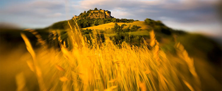 lensbaby-spark-2-0-banner.jpg