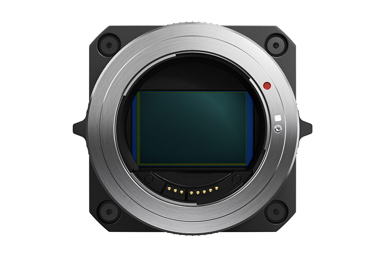Canon_ML_1.jpg